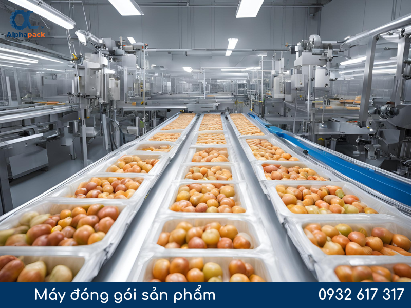 máy đóng gói sản phẩm